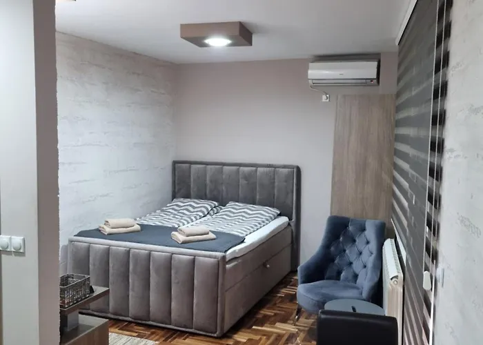 Apartament Ristanovic *